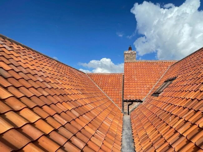 Brigg Town Conservation Project