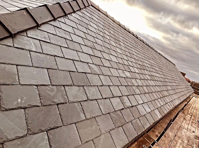 C9253D65-8DDC-41A7-800A-2C4D20E66A9D