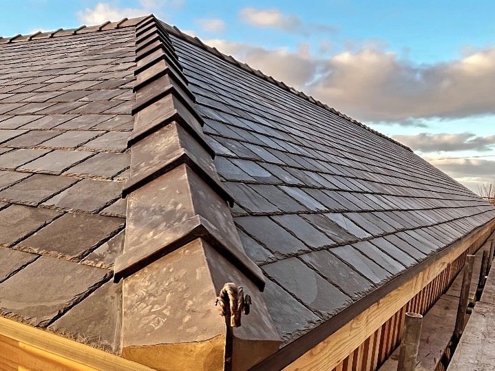 D288ACA5-9A54-4938-86CF-E4126D5EF6C2